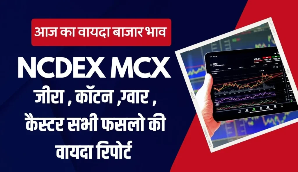 Price Outlook for NCDEX Traded Agricultural Commodities till November End